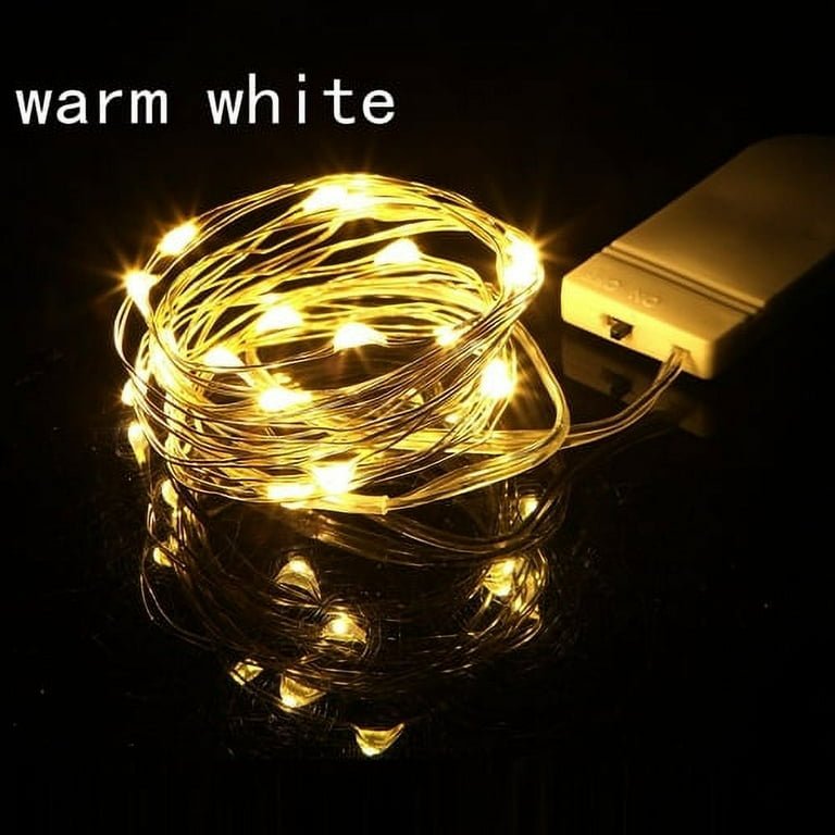 dual option Led fairy seed light