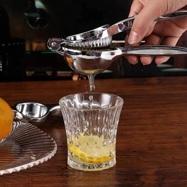 Stainless Steel Squeezer