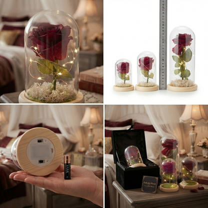 Led Rose bell jar with led